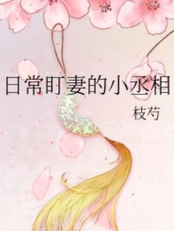 日常盯妻的小丞相
