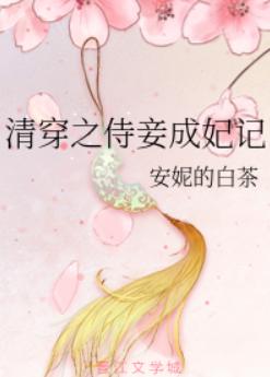 清穿之侍妾成妃记