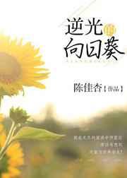 逆光的向日葵