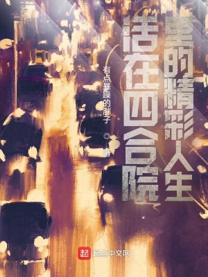 四合院里的大玩家