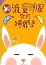 和流量明星合约结婚了 [参赛作品]