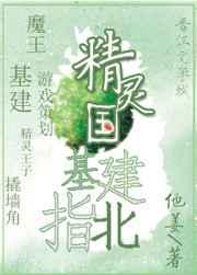 精灵国基建指北
