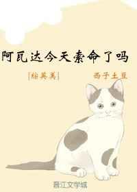 [综英美]阿瓦达今天索命了吗
