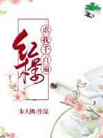 [快穿]红楼虐我千百遍