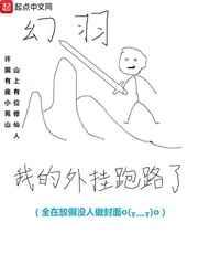 我的外挂跑路了