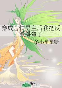 穿成言情男主后我把反派掰弯了