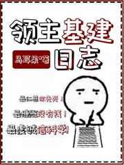 领主基建日志