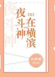 （综漫同人）夜斗神在横滨