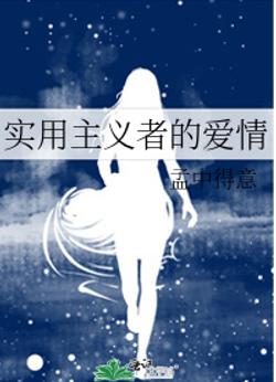 实用主义者的爱情