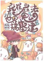 我在魔法世界搞基建