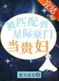 被匹配到星际豪门当贵妇