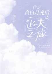 作走真白月光后的追夫之旅