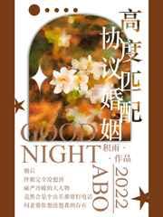高度匹配协议婚姻