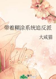 带着糊涂系统追反派