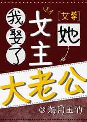 我娶了女主她大老公（女尊）