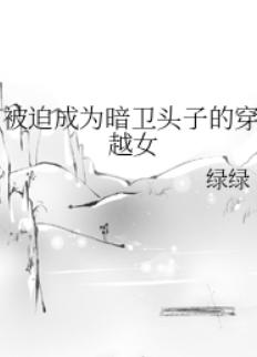 被迫成为暗卫头子的穿越女
