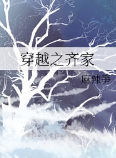 穿越之齐家