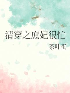 清穿之庶妃很忙