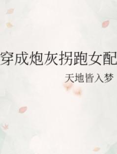 穿成炮灰拐跑女配