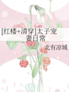 [红楼+清穿]太子宠妻日常