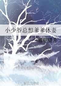 小少爷总想爹爹休妻
