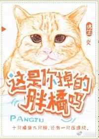 这是你掉的胖橘吗
