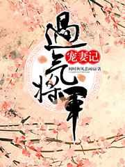 过气将军宠妻记