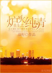 重生之炉火纯青