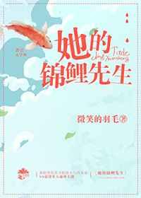 她的锦鲤先生
