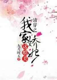 清穿之我家娇妃这般美