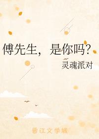 傅先生，是你吗？