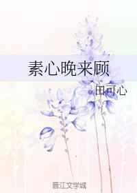 素心晚来顾