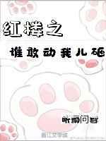 红楼之谁敢动我儿砸