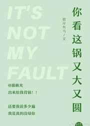 [综]你看这锅又大又圆