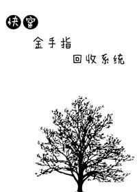 金手指回收系统[快穿]