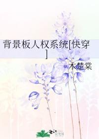 背景板人权系统[快穿]