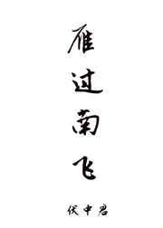 雁过南飞