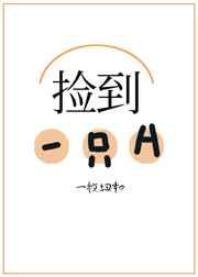 捡到了一只A