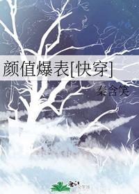 颜值爆表[快穿]