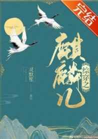 综穿之麒麟儿