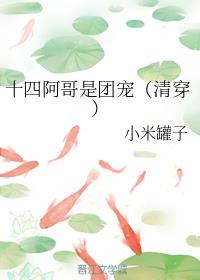 十四阿哥是团宠（清穿）
