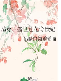 清穿，盛世莲花令贵妃