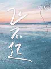 飞不起