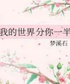 我的世界分你一半