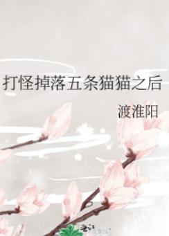 打怪掉落五条猫猫之后