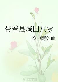 带着县城回八零（穿越）
