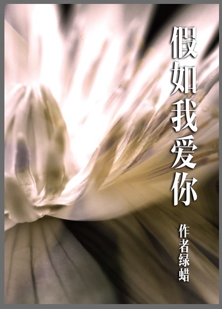 假如我爱你