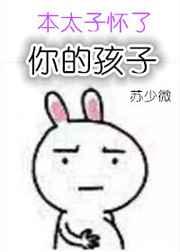 本太子怀了你的孩子