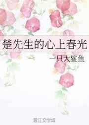 楚先生的心上春光